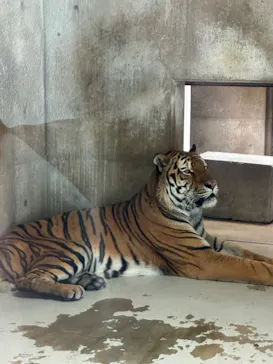 天王寺動物園に投稿された画像（2026/10/13）