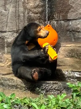 天王寺動物園に投稿された画像（2026/10/13）