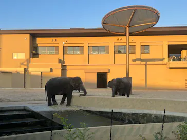 天王寺動物園に投稿された画像（2026/10/13）