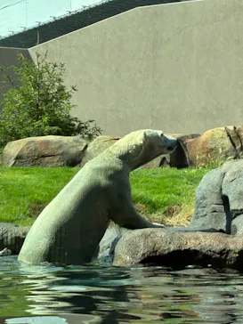 天王寺動物園に投稿された画像（2026/10/13）