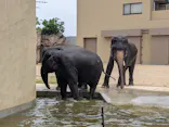 天王寺動物園に投稿された画像（2026/10/13）