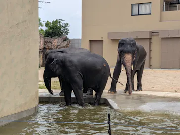 天王寺動物園に投稿された画像（2026/10/13）