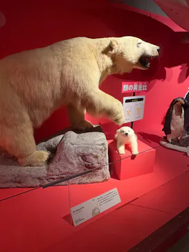 特別展「いきもの超ワールド展　国立科学博物館×ダーウィンが来た！」（国立科学博物館）に投稿された画像（2026/10/13）