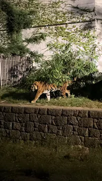 天王寺動物園に投稿された画像（2026/10/13）