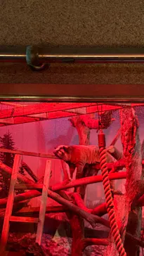天王寺動物園に投稿された画像（2026/10/13）