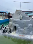 南知多ビーチランド＆南知多おもちゃ王国に投稿された画像（2026/10/13）