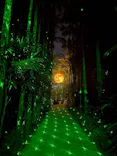 美らヤシパークオキナワ・東南植物楽園に投稿された画像（2026/10/13）