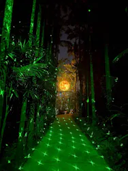 美らヤシパークオキナワ・東南植物楽園に投稿された画像（2026/10/13）