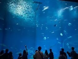 アクアワールド茨城県大洗水族館に投稿された画像（2026/10/13）