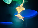 アクアワールド茨城県大洗水族館に投稿された画像（2026/10/13）