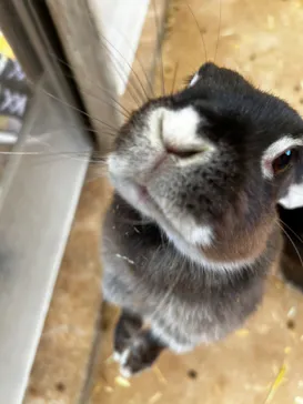 秋吉台自然動物公園 サファリランドに投稿された画像（2026/10/13）