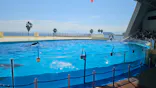 マリンワールド海の中道に投稿された画像（2026/10/13）