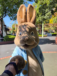 ナガシマスパーランドに投稿された画像（2026/10/13）