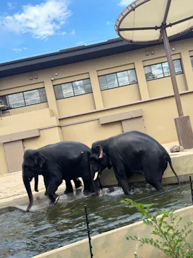 天王寺動物園に投稿された画像（2026/10/13）