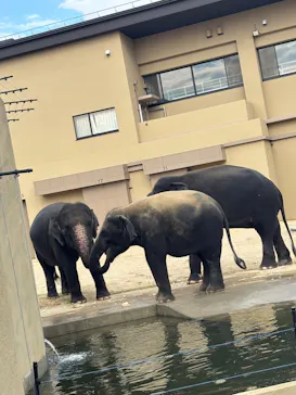天王寺動物園に投稿された画像（2026/10/13）