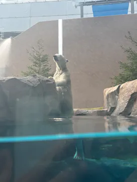 天王寺動物園に投稿された画像（2026/10/13）