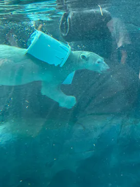 天王寺動物園に投稿された画像（2026/10/13）