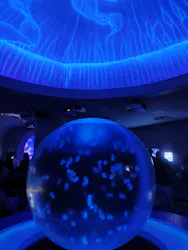 新江ノ島水族館に投稿された画像（2026/10/13）