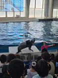 アクアワールド茨城県大洗水族館に投稿された画像（2026/10/13）
