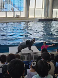 アクアワールド茨城県大洗水族館に投稿された画像（2026/10/13）