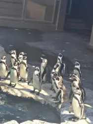 アクアワールド茨城県大洗水族館に投稿された画像（2026/10/13）