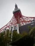 東京タワーに投稿された画像（2026/10/13）