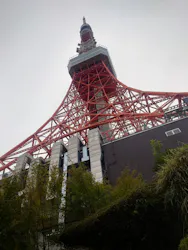 東京タワーに投稿された画像（2026/10/13）