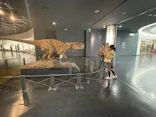 福井県立恐竜博物館に投稿された画像（2026/10/13）
