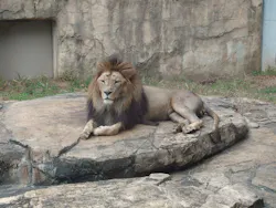 千葉市動物公園に投稿された画像（2026/10/13）