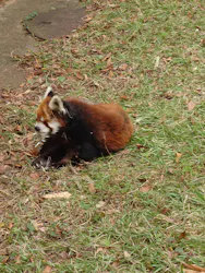 千葉市動物公園に投稿された画像（2026/10/13）