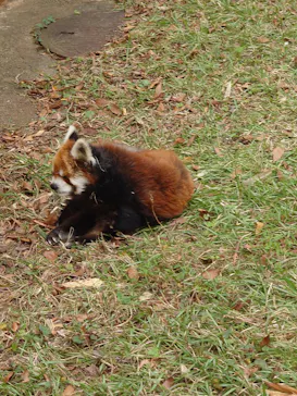 千葉市動物公園に投稿された画像（2026/10/13）