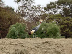 千葉市動物公園に投稿された画像（2026/10/13）