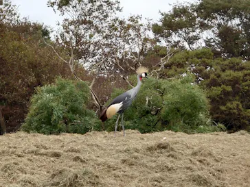 千葉市動物公園に投稿された画像（2026/10/13）