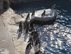 アクアワールド茨城県大洗水族館に投稿された画像（2026/10/13）