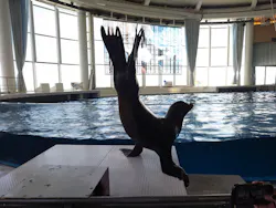 アクアワールド茨城県大洗水族館に投稿された画像（2026/10/13）
