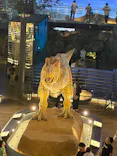 福井県立恐竜博物館に投稿された画像（2026/10/13）