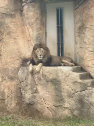 千葉市動物公園に投稿された画像（2026/10/13）