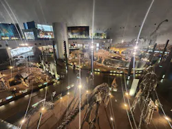 福井県立恐竜博物館に投稿された画像（2026/10/13）