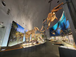 福井県立恐竜博物館に投稿された画像（2026/10/13）