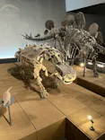 福井県立恐竜博物館に投稿された画像（2026/10/14）