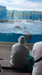 新江ノ島水族館に投稿された画像（2026/10/13）