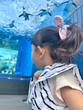 サンシャイン水族館に投稿された画像（2026/10/14）