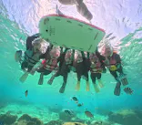 武藤潜水に投稿された画像（2026/10/14）