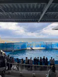 新江ノ島水族館に投稿された画像（2026/10/14）