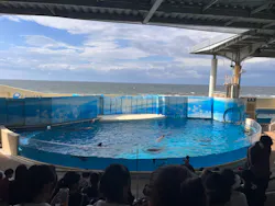 新江ノ島水族館に投稿された画像（2026/10/14）