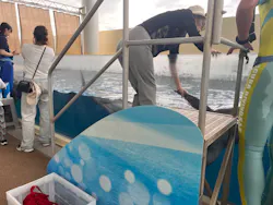 新江ノ島水族館に投稿された画像（2026/10/14）