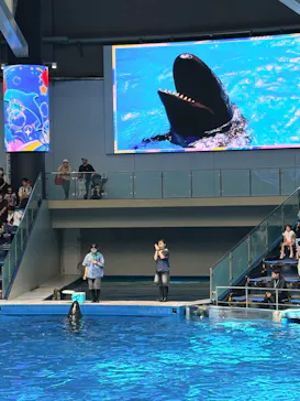 マクセル アクアパーク品川に投稿された画像（2026/10/14）