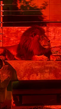 東武動物公園に投稿された画像（2026/10/14）