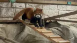 天王寺動物園に投稿された画像（2026/10/14）