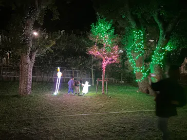 天王寺動物園に投稿された画像（2026/10/14）